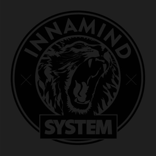 Various Artists - INNASYSTM001 - 2x LP Vinyl
