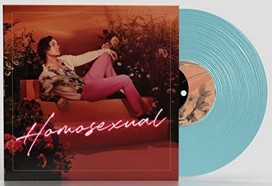 Darren Hayes - Homosexual - 2x LP Colored Vinyl