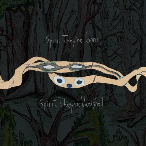 Animal Collective - Spirit They're Gone Spirit They've Vanished - 2x LP Colored Vinyl