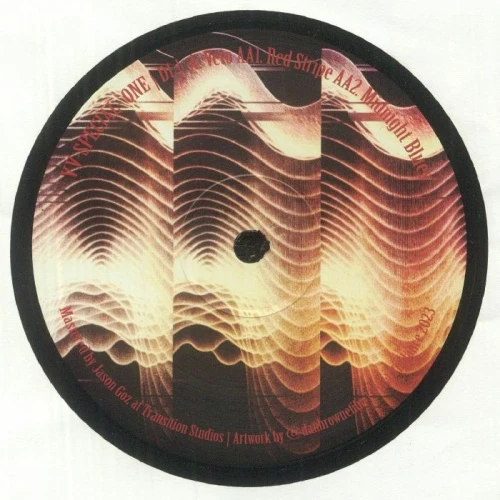 D1 - Veto - 12" Vinyl