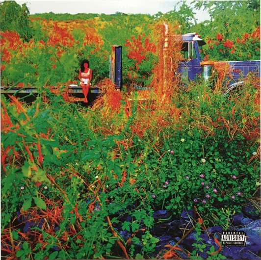 Jhene Aiko - Trip - 2x LP Vinyl