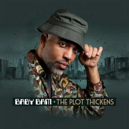 Baby Bam - The Plot Thickens - LP Vinyl