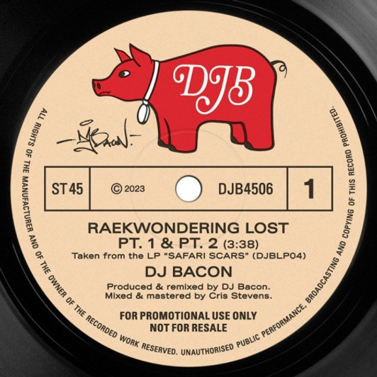 DJ Bacon - Raekwondering Lost - 7" Vinyl