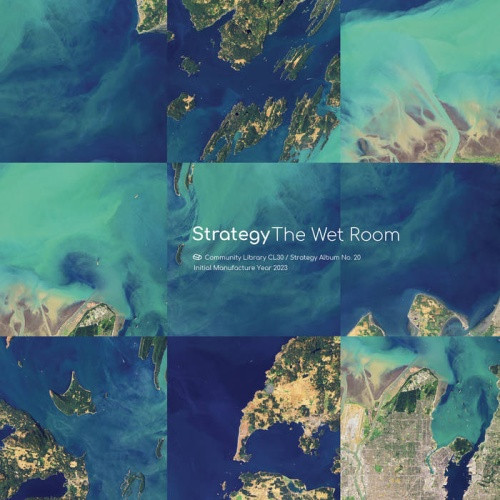 Strategy - The Wet Room - LP Vinyl