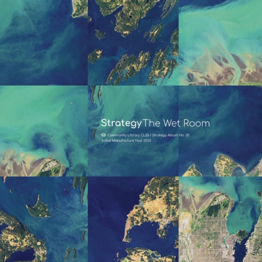 Strategy - The Wet Room - LP Vinyl