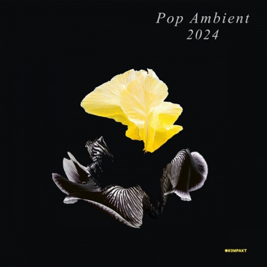 Various Artists - Pop Ambient 2024 - LP Vinyl