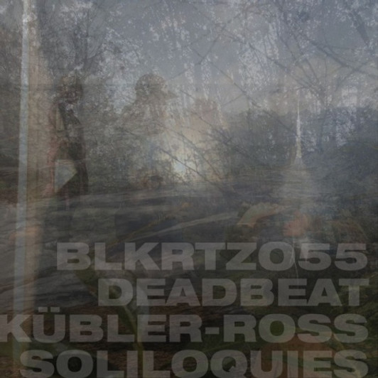 Deadbeat - Kubler-Ross Soliloquies - 2x LP Vinyl