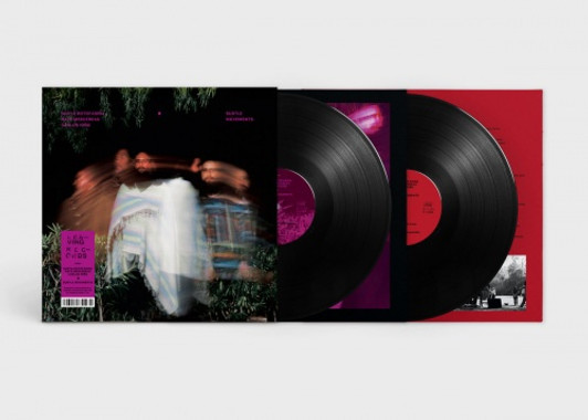 Surya Botofasina / Nate Mercereau / Carlos Nino - Subtle Movements - 2x LP Vinyl