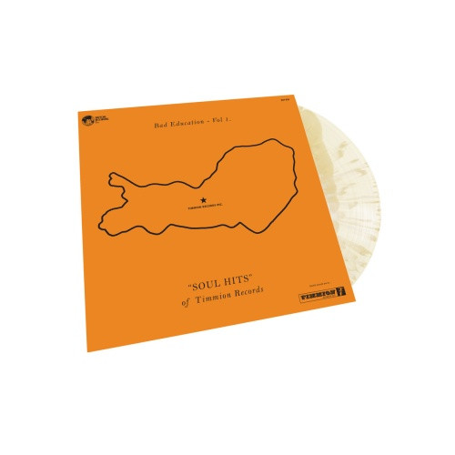 Various Artists - Bad Education Vol. 1 - LP Arctic Swirl Vinyl