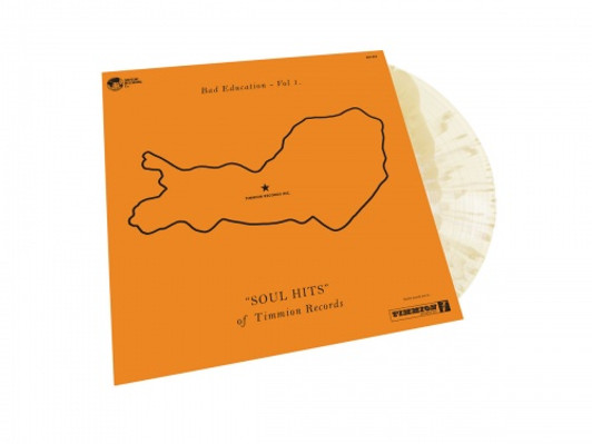 Various Artists - Bad Education Vol. 1 - LP Arctic Swirl Vinyl