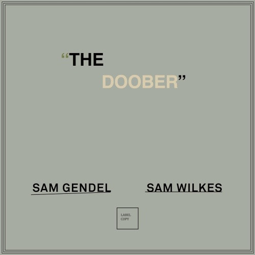 Sam Gendel & Sam Wilkes - The Doober - LP Vinyl