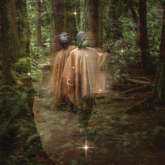 Terror/Cactus - Forastero - LP Vinyl