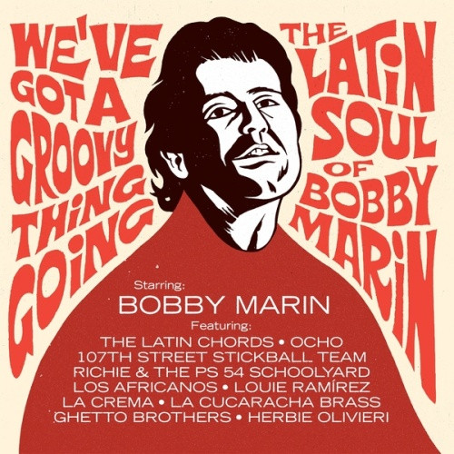 Various Artists - We've Got A Groovy Thing Going - The Latin Soul Of Bobby Marin - 2x LP Vinyl