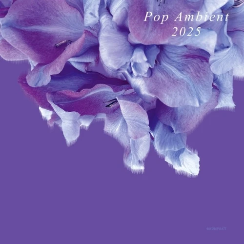 Various Artists - Pop Ambient 2025 - LP Vinyl