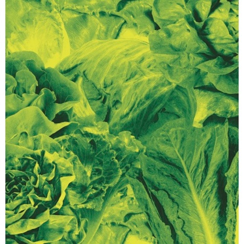 Lettuce - Monorail 3000 / Star Children - 7" Vinyl