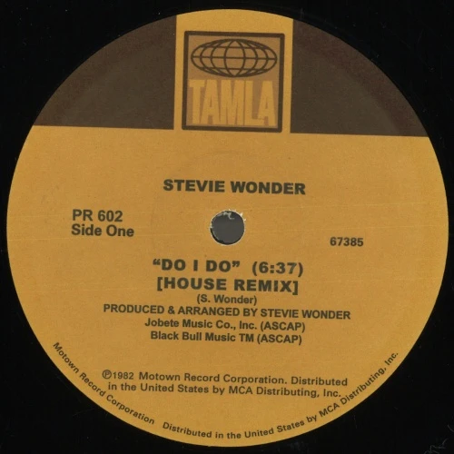 Stevie Wonder - Do I Do / Superstitious (House Remixes) - 12" Vinyl