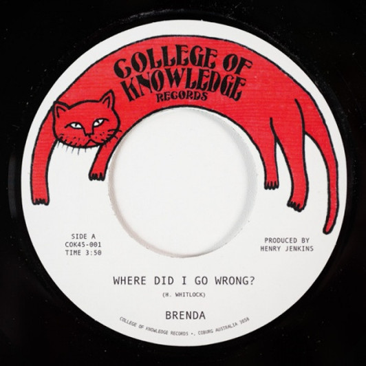 Brenda - Where Did I Go Wrong? - 7" Vinyl