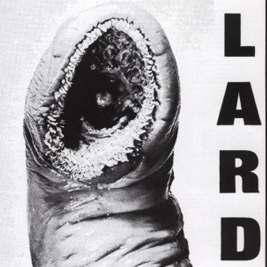 Lard - Power Of Lard Ep - 12" White Vinyl