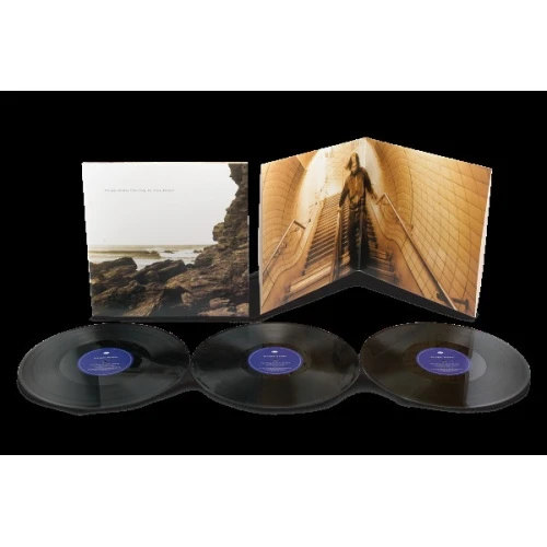 Polygon Window - Surfing On Sine Waves (Expanded Edition) - 3x LP Vinyl
