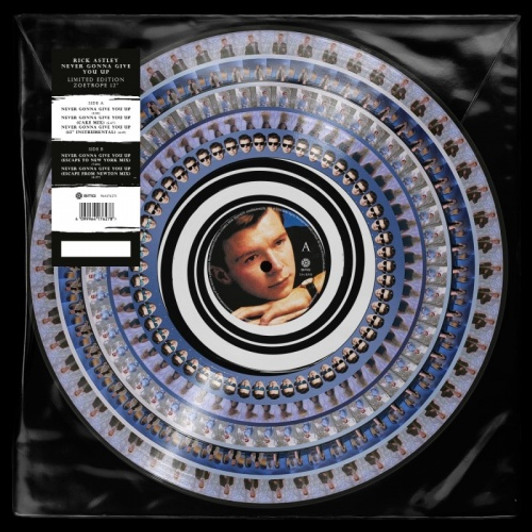 Rick Astley - Never Gonna Give You Up - 12" Picture Disc Vinyl