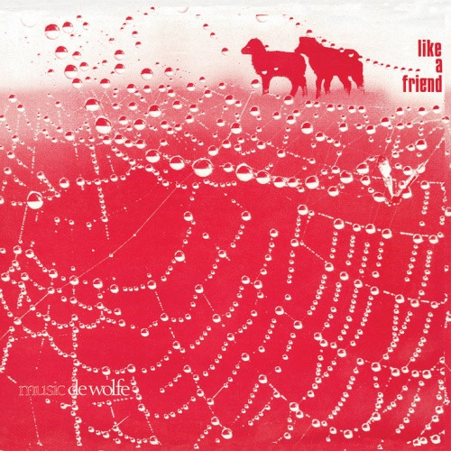 Roger Webb - Like A Friend - LP Vinyl