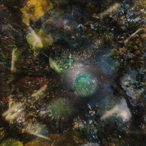 Green-House - A Host For All Kinds Of Life - LP Vinyl