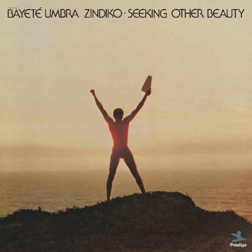 Bayete Umbra Zindiko - Seeking Other Beauty - LP Vinyl