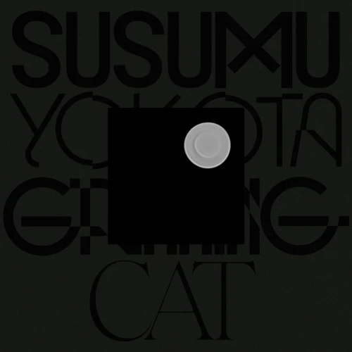 Susumu Yokota - Grinning Cat (Skintone Edition) - 2x LP Vinyl