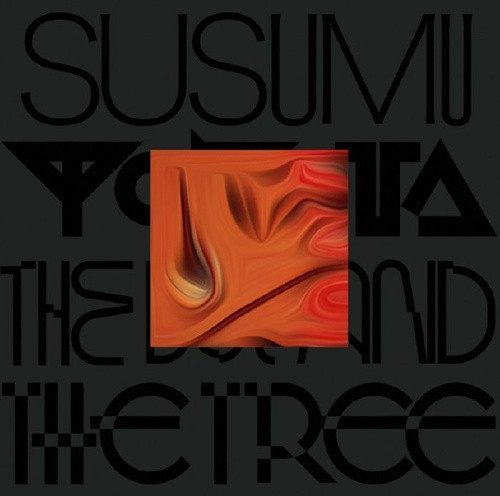 Susumu Yokota - The Boy And The Tree - 2x LP Colored Vinyl