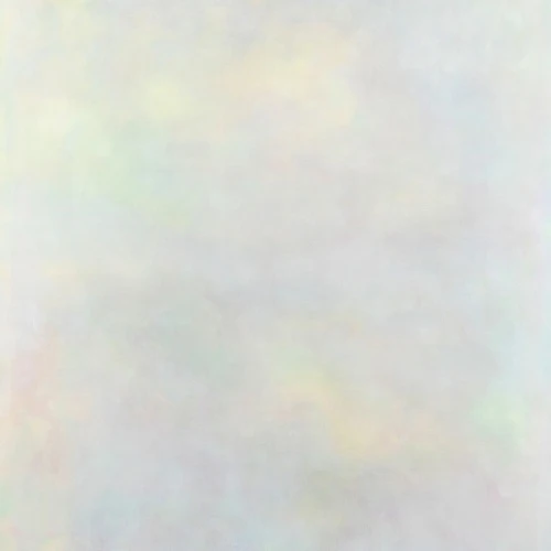 Variant - The Setting Sun - 2x LP Vinyl