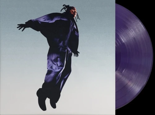 Mavi - The Pilot - LP Purple Vinyl