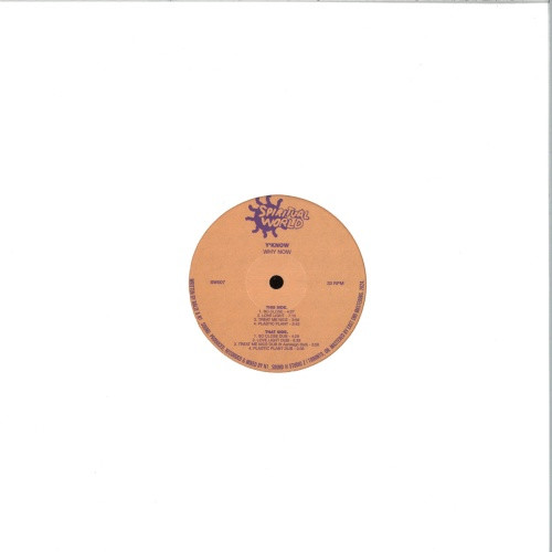Y'KNOW - Why Now - 12" Vinyl