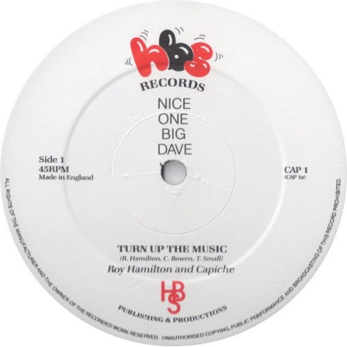 Roy Hamilton & Capiche - Turn Up The Music - 12" Vinyl
