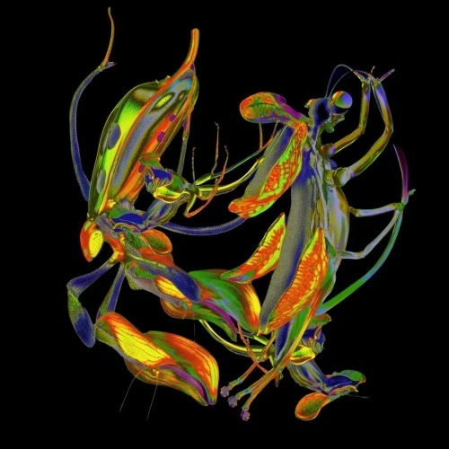 DJ Nobu - Sho - 12" Vinyl