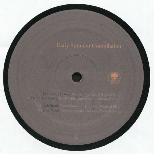 Various Artists - Early Summer 2026 Compilation - 12" Vinyl