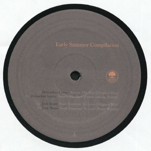 Various Artists - Early Summer 2026 Compilation - 12" Vinyl