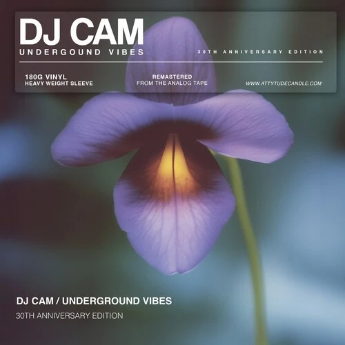DJ Cam - Underground Vibes (30th Anniversary) - LP Vinyl