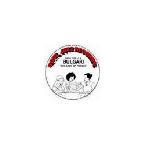 Bogdan Irkuk - aka BULG*RI Everything.. - 12" Vinyl