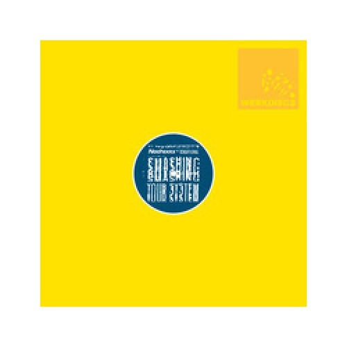 Nochexxx - Smashing Your System - 12" Vinyl