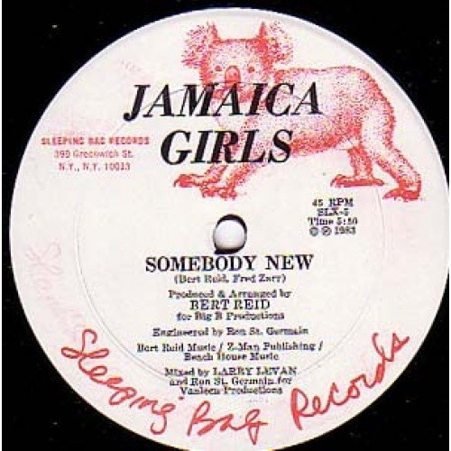 Jamaica Girls - Need Somebody - 12" Vinyl