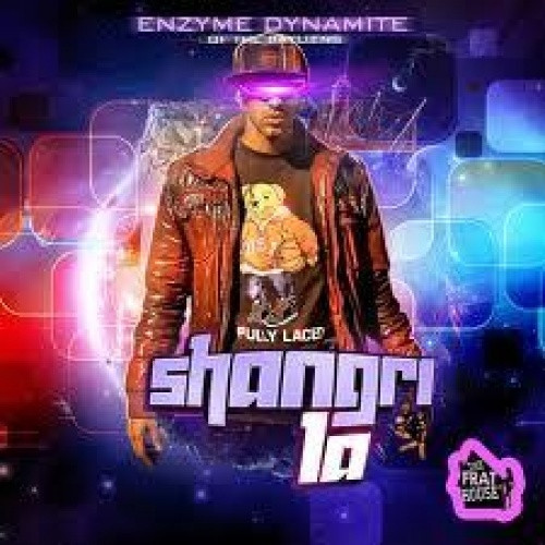 Enzyme Dynamite - Shangri La - CD