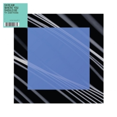 Skream - Where You Should Be Pt.2 - 12" Vinyl