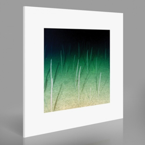Mike Weis - Loop Current/Raft - LP Vinyl