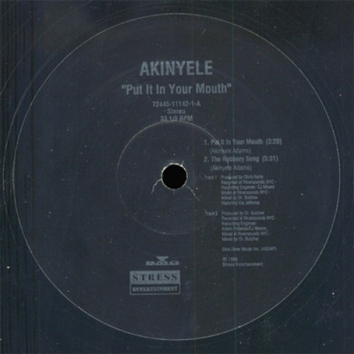 Akinyele - Put It In Your Mouth - 12" Vinyl