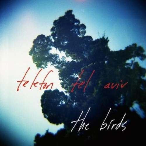 Telefon Tel Aviv - The Birds - 12" Vinyl