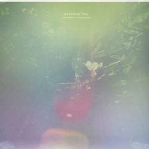 Laura Arkana met Peter Broderick - Lentemuziek - LP Vinyl