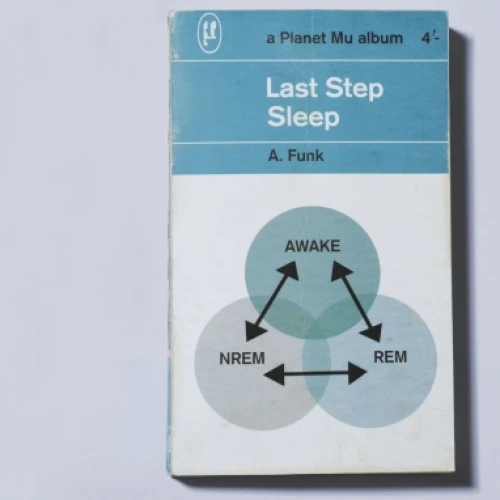 Last Step - Sleep - LP Vinyl