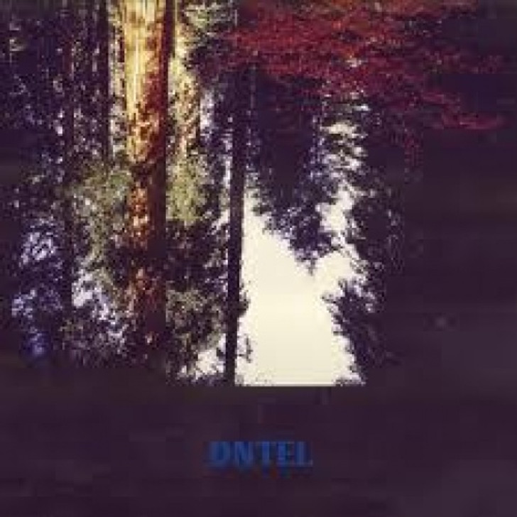 Dntel - Aimlessness - LP Vinyl+CD
