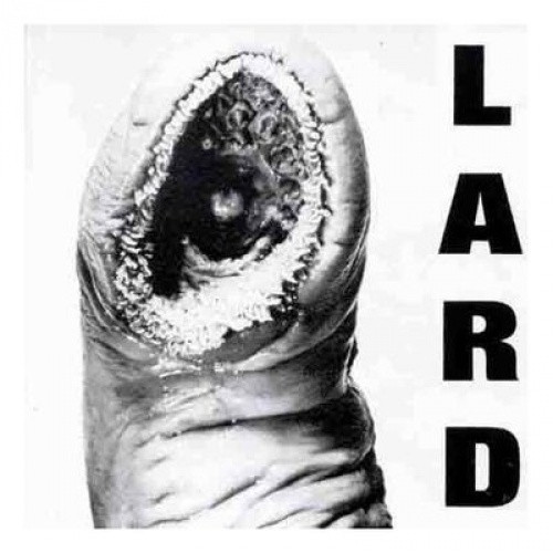 Lard - Power of Lard - LP Vinyl