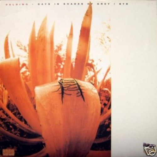 Pelding - Days in Shades - 12" Vinyl